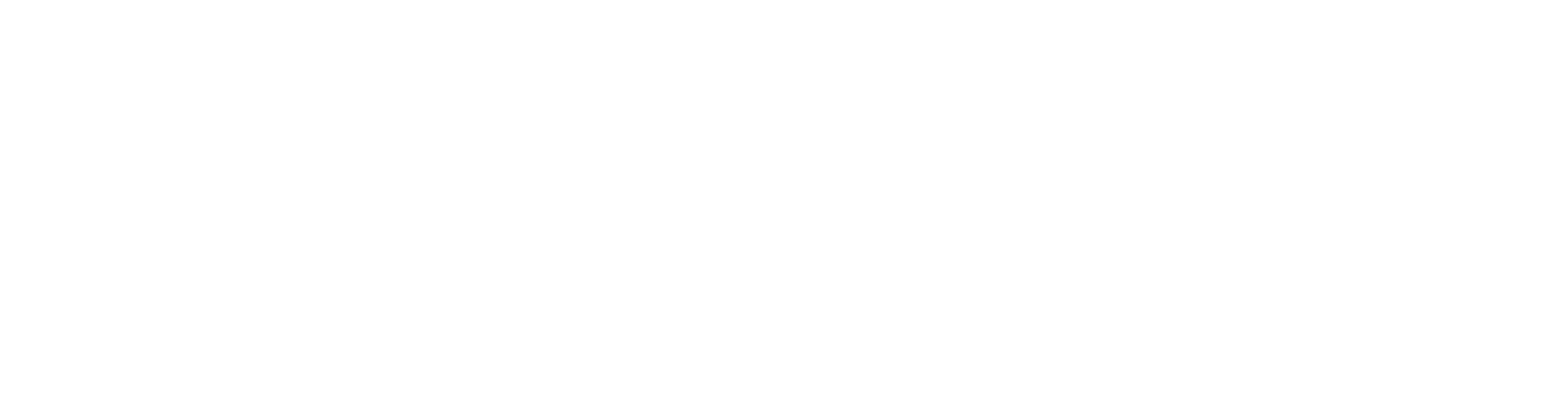 Rayzon Solar logo
